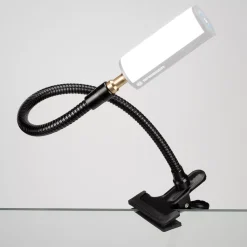 BR-22 Schwanenhals 44 cm mit Klemme + Spigot><noscript><img width=