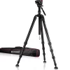 BX-10 Pro Tripod>Bresser Cheap