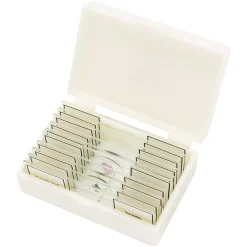 Dauerpräparate Profi-Qualität 10 Stück>Bresser Best Sale