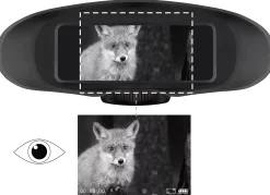 Digital Nachtsichtgerät Binokular 3,5x m. Aufnahme Monochrom><noscript><img width=