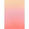 Hintergrundstoff mit Fotomotiv 80 x 120 cm - Koralle>Bresser Clearance