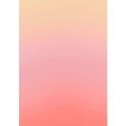Hintergrundstoff mit Fotomotiv 80 x 120 cm - Koralle>Bresser Clearance
