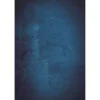 Hintergrundstoff mit Fotomotiv 80 x 120 cm - Vintage Blue>Bresser Online
