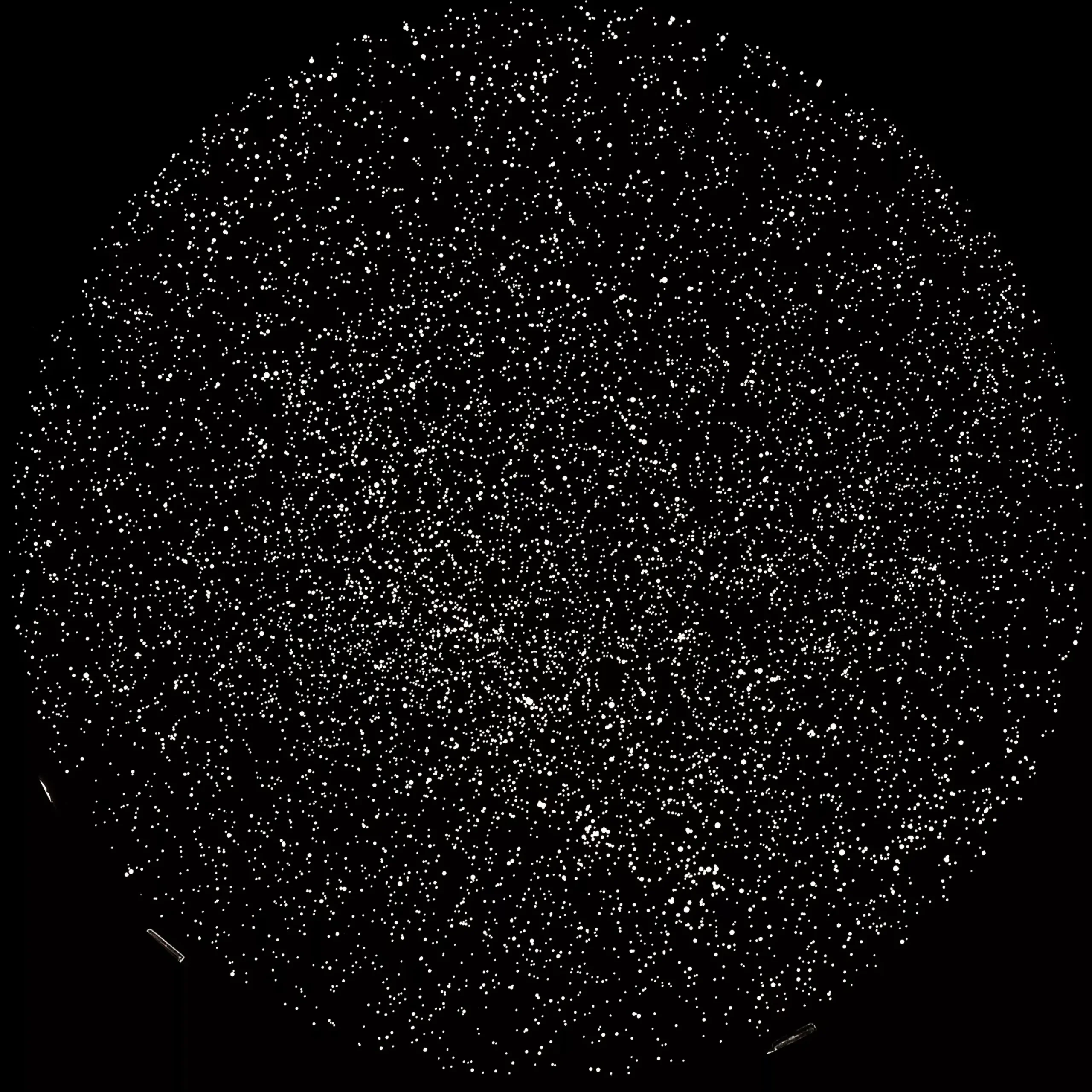 JUNIOR Astro-Planetarium>Bresser Outlet