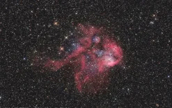 Messier NT-203s/800 EXOS-2 GOTO Teleskop><noscript><img width=