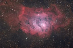 Messier NT203s/800 Optischer Tubus><noscript><img width=