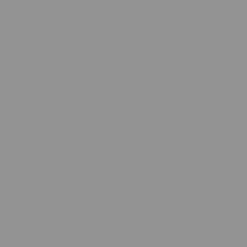SBP17 Papierhintergrundrolle 1,36 x 11m Grau>Bresser Store