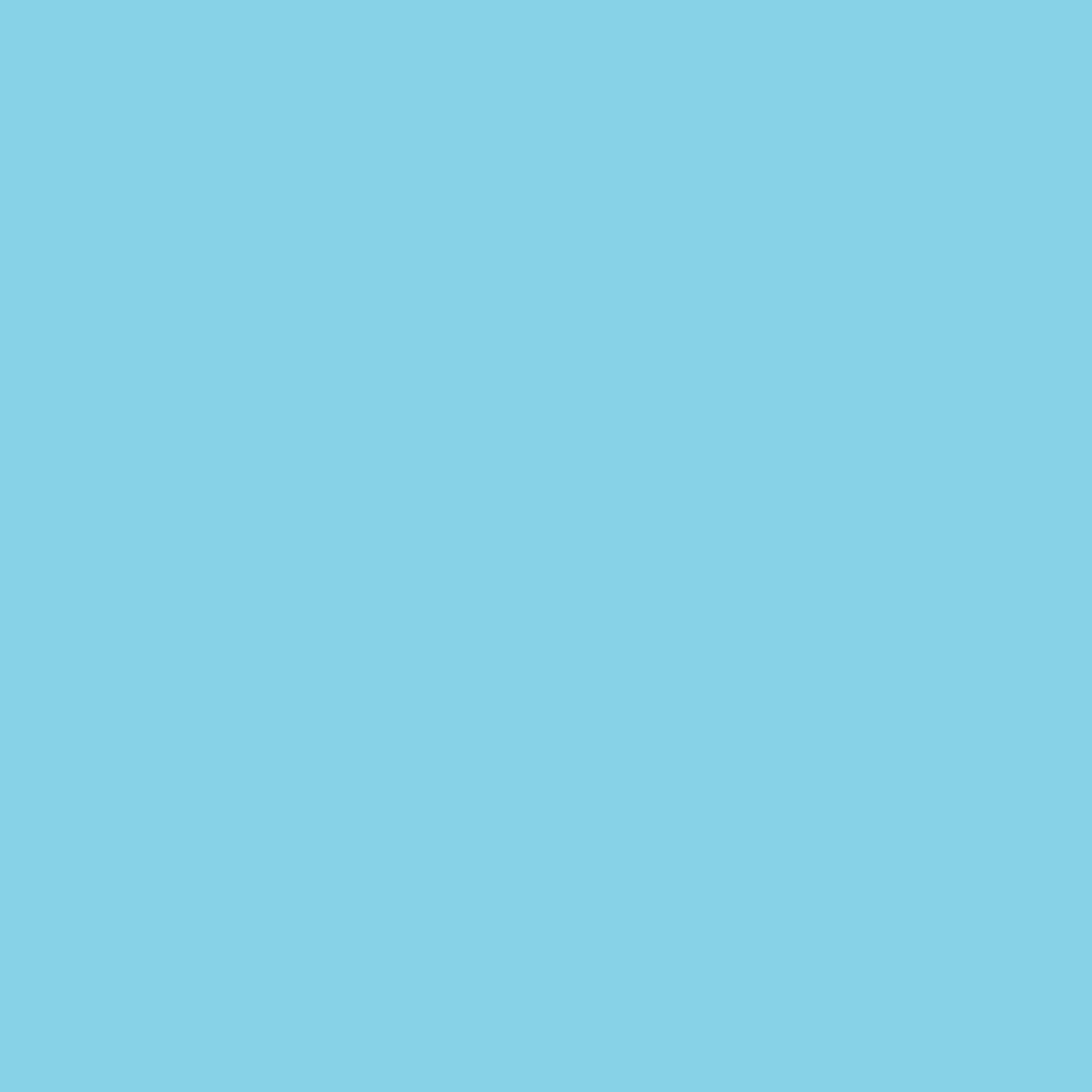 SBP20 Papierhintergrundrolle 1,36 x 11m Meeresblau>Bresser Online
