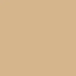 SBP15 Papierhintergrundrolle 2,72 x 11m Beige>Bresser Store