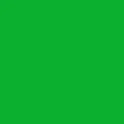 SBP10 Papierhintergrundrolle 1,69 x 11m Greenscreen/ Chromakey Grün>Bresser New