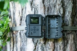 60°-Wild-Beobachtungskamera 5-20 MP 20 m><noscript><img width=