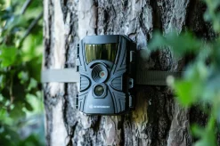 60°-Wild-Beobachtungskamera 5-20 MP 20 m><noscript><img width=
