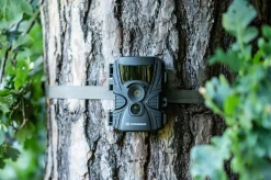 60°-Wild-Beobachtungskamera 5-20 MP 20 m><noscript><img width=