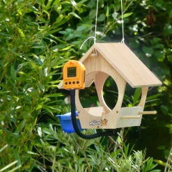 DieMaus Vogelhaus mit Kamera><noscript><img width=