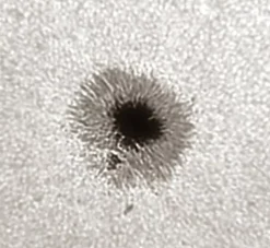 LUNT LS1.25HW 31,7mm (1,25'') Herschel-Keil><noscript><img width=