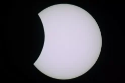 LUNT Sonnenfinsternis-Brille (1 Stück)><noscript><img width=