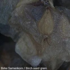 NATIONAL GEOGRAPHIC Binokulares Mikroskop><noscript><img width=